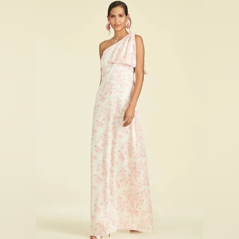 Sachin & Babi Chelsea Floral Maxi Gown- Nwt Rouge Rose Watercolor 12